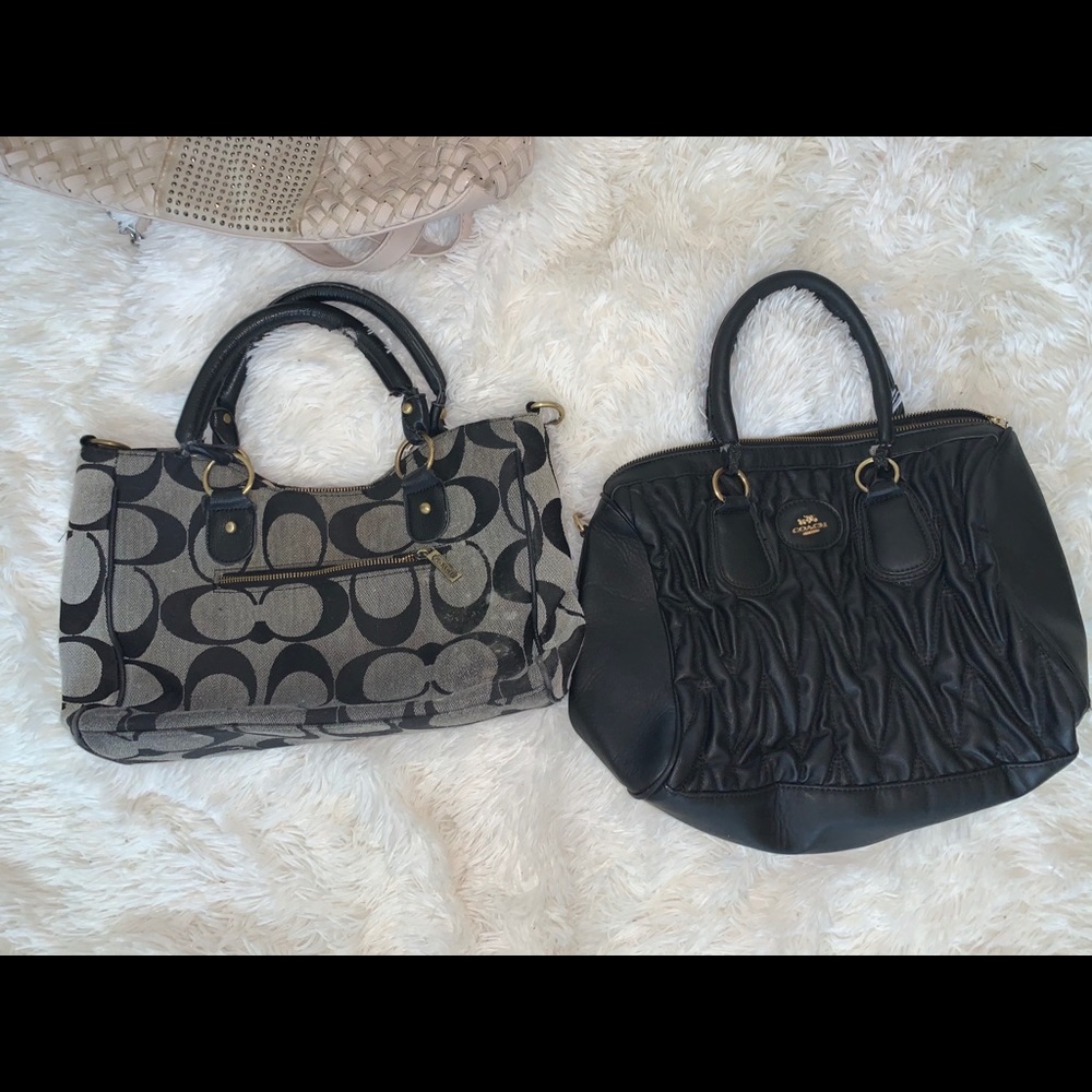 Coach purses